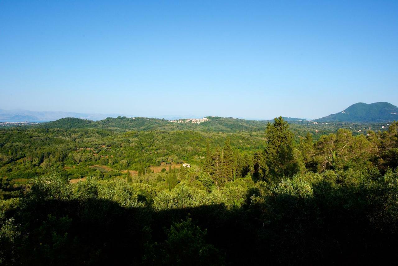 Aurora Apartment Corfu Pelekas Dış mekan fotoğraf