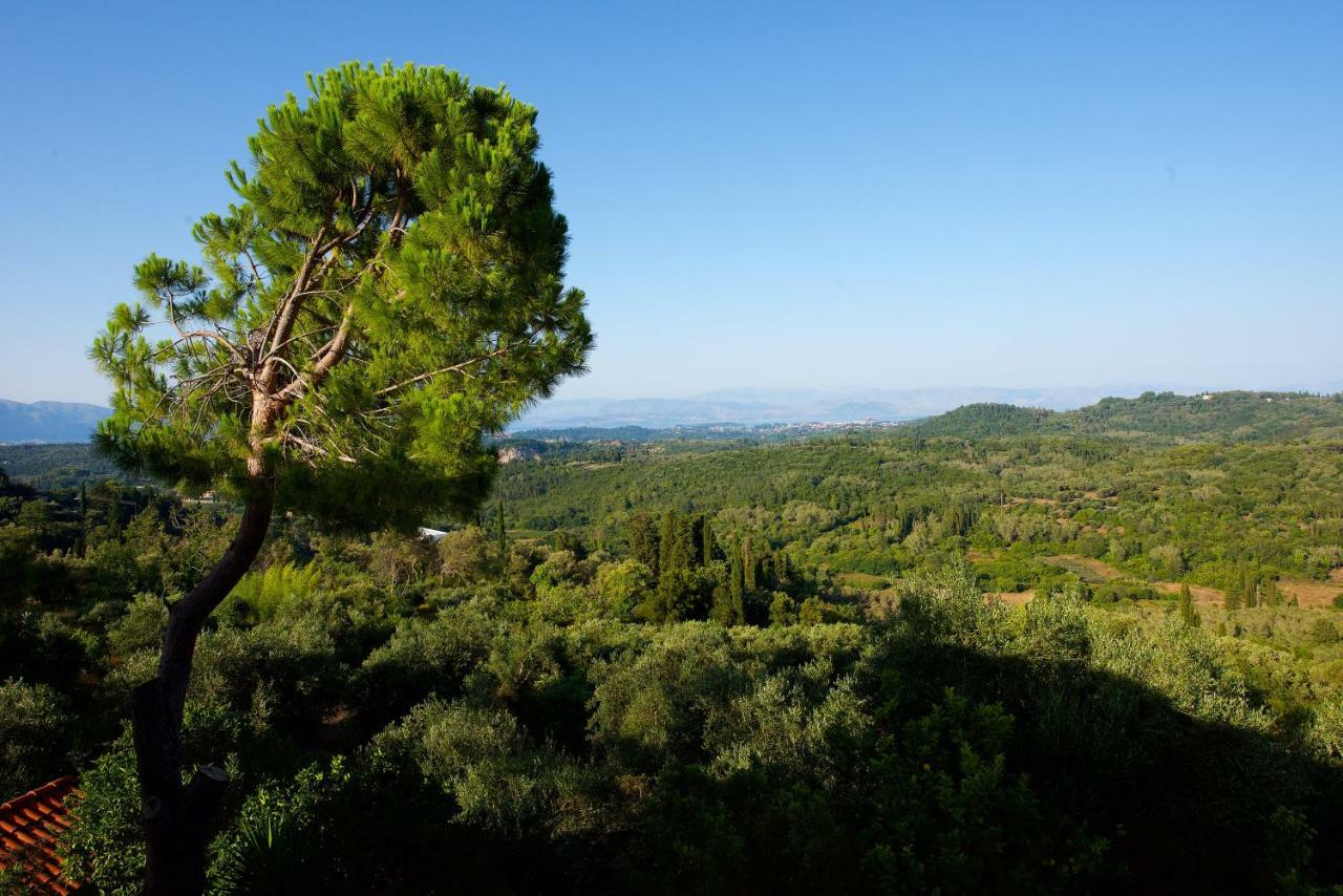 Aurora Apartment Corfu Pelekas Dış mekan fotoğraf